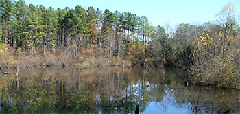 Resolve Environmental Services, PLLC